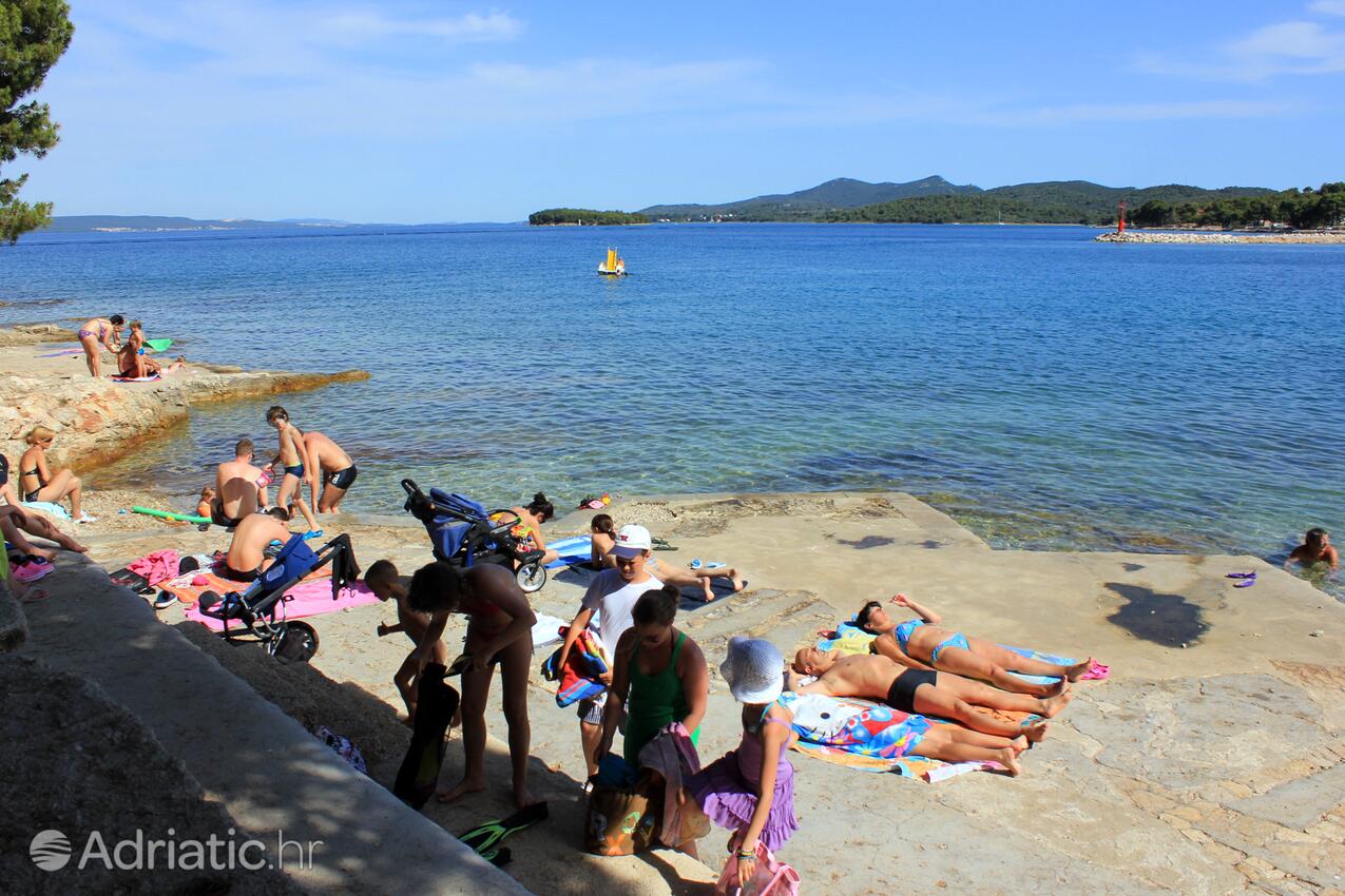Spiagge nelle vicinanze - Appartamenti accanto al mare Kukljica, Ugliano - Ugljan