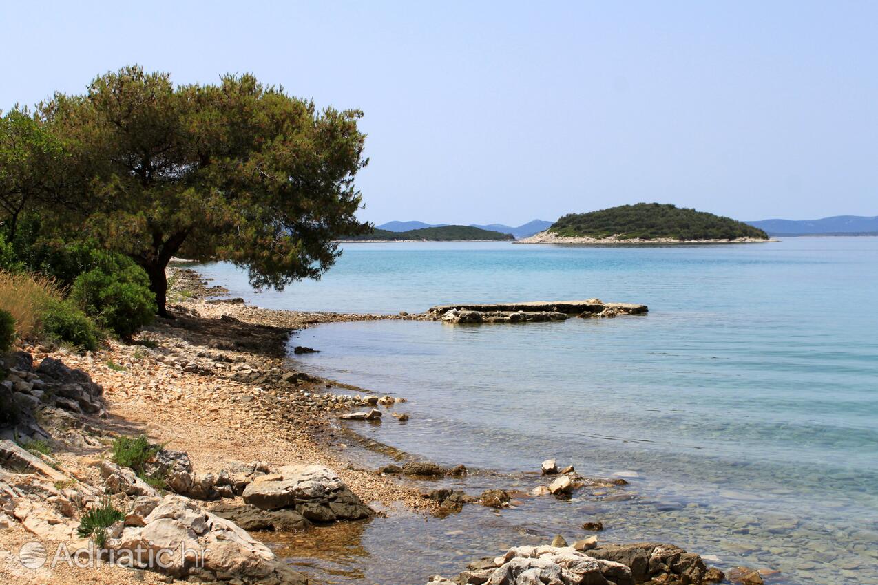 Spiagge nelle vicinanze - Appartamenti accanto al mare Kukljica, Ugliano - Ugljan