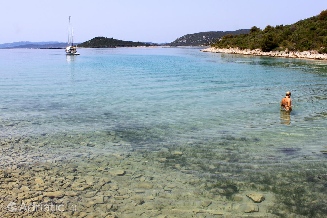 Spiagge nelle vicinanze - Appartamenti accanto al mare Kukljica, Ugliano - Ugljan