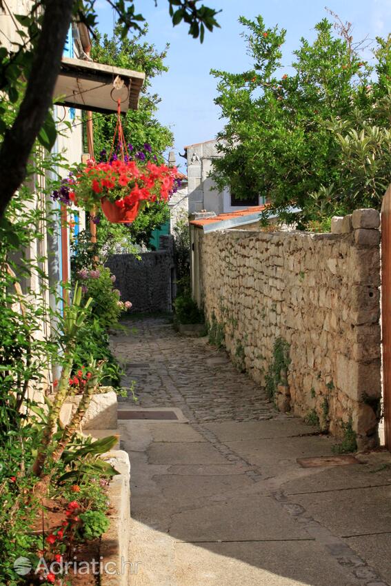 Osor na wyspie Lošinj (Kvarner)