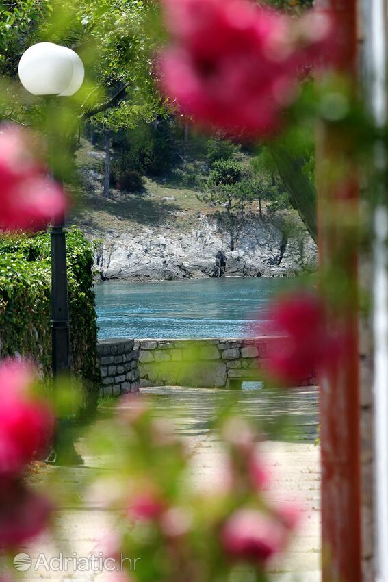 Osor na wyspie Lošinj (Kvarner)