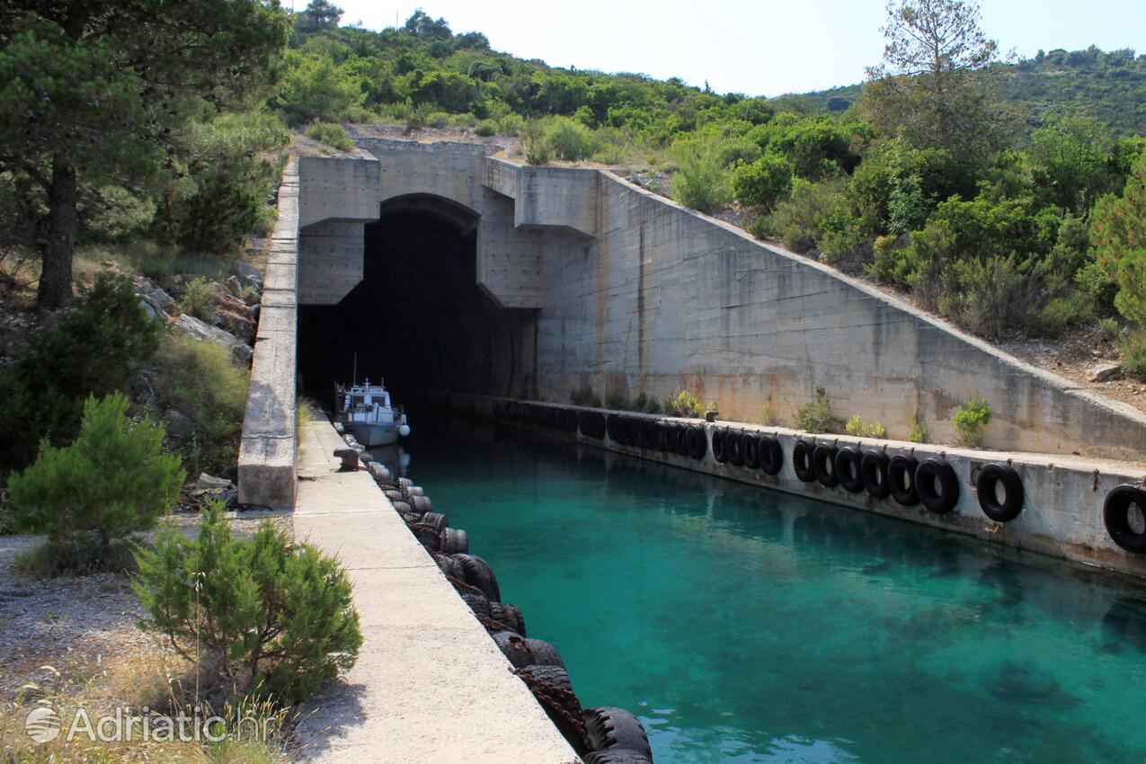 Dragove na wyspie Dugi otok (Sjeverna Dalmacija)