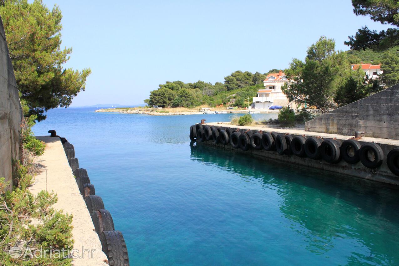 Dragove na otoku Dugi otok (Sjeverna Dalmacija)