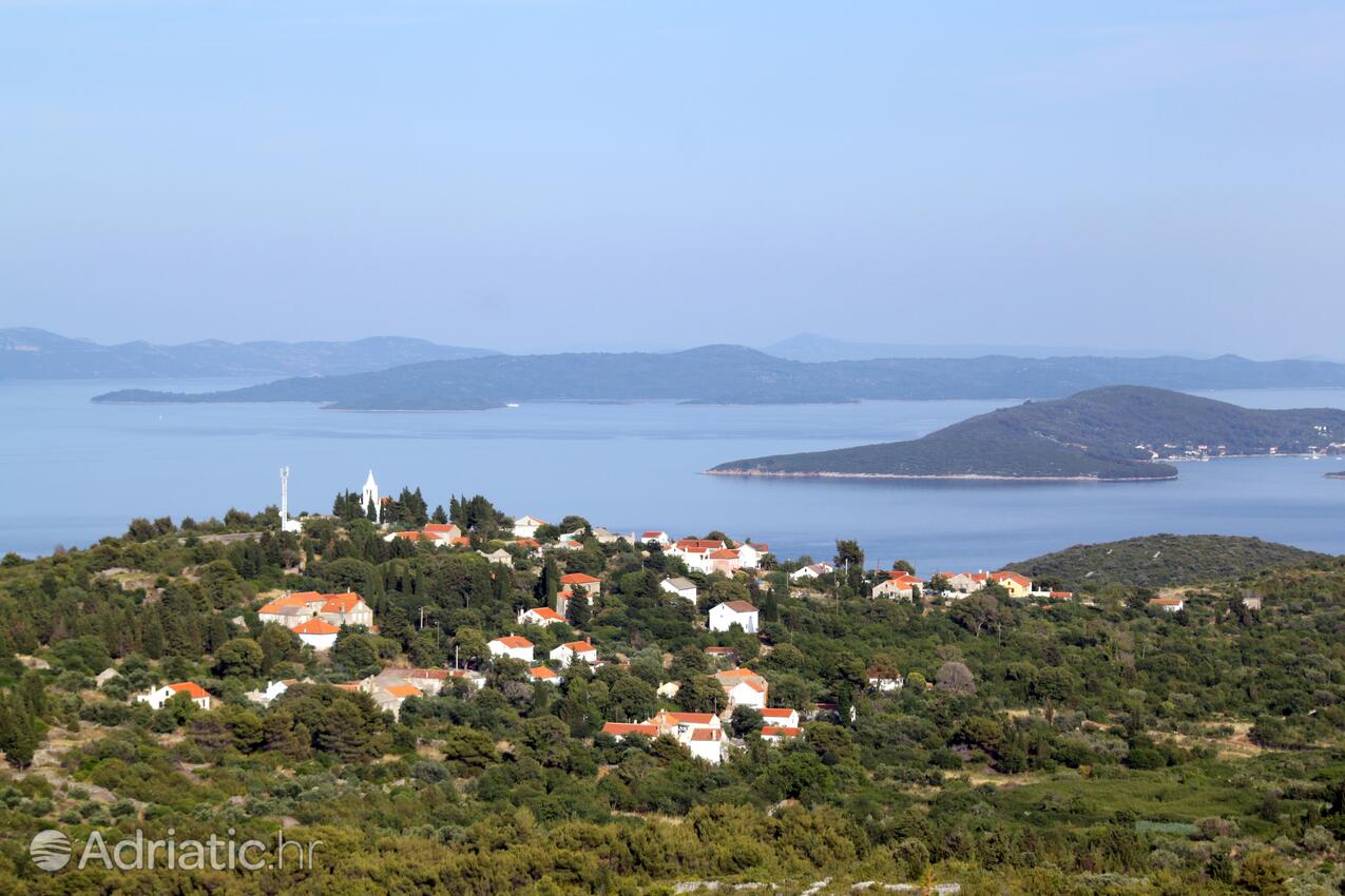 Dragove på otoku Dugi otok (Sjeverna Dalmacija)