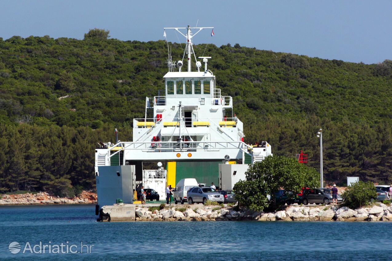 Brbinj острові Dugi otok (Sjeverna Dalmacija)