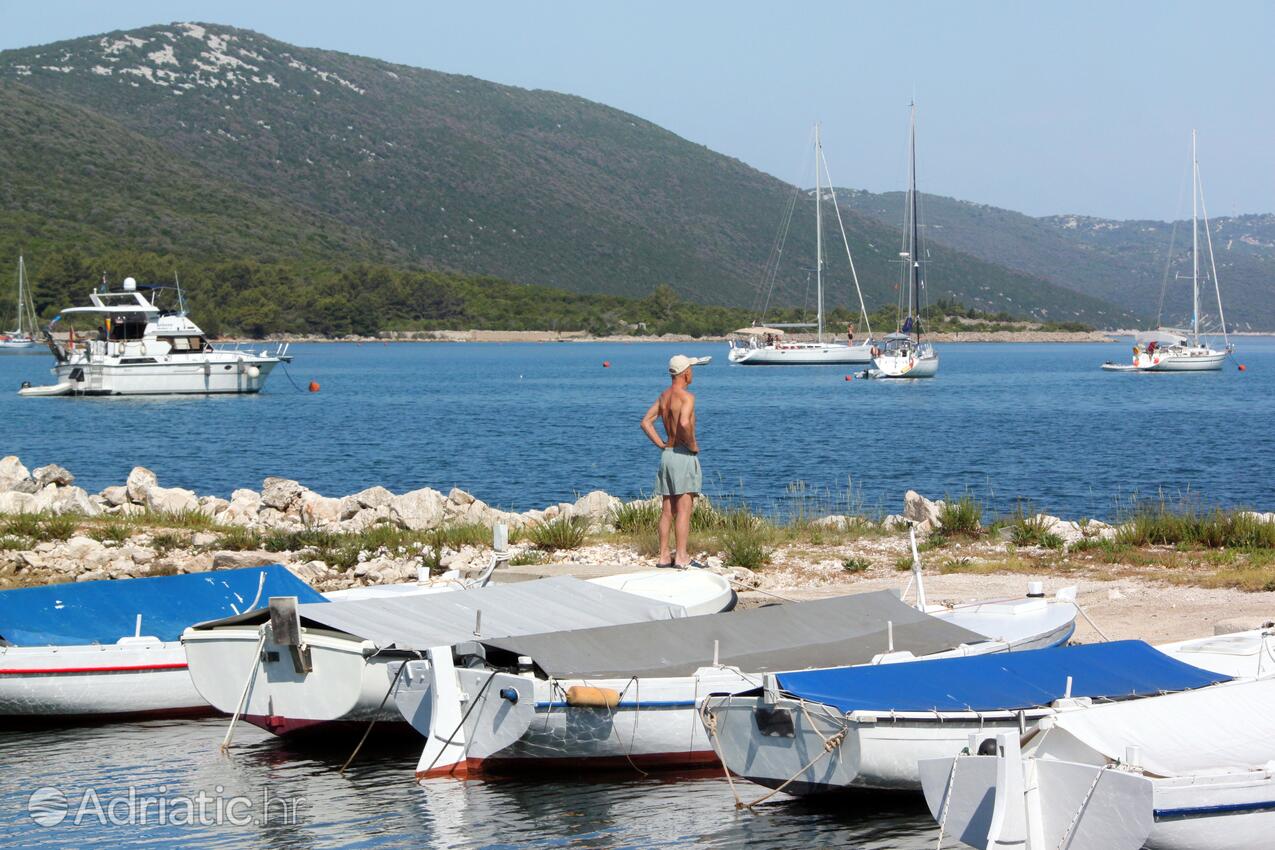 Brbinj острові Dugi otok (Sjeverna Dalmacija)