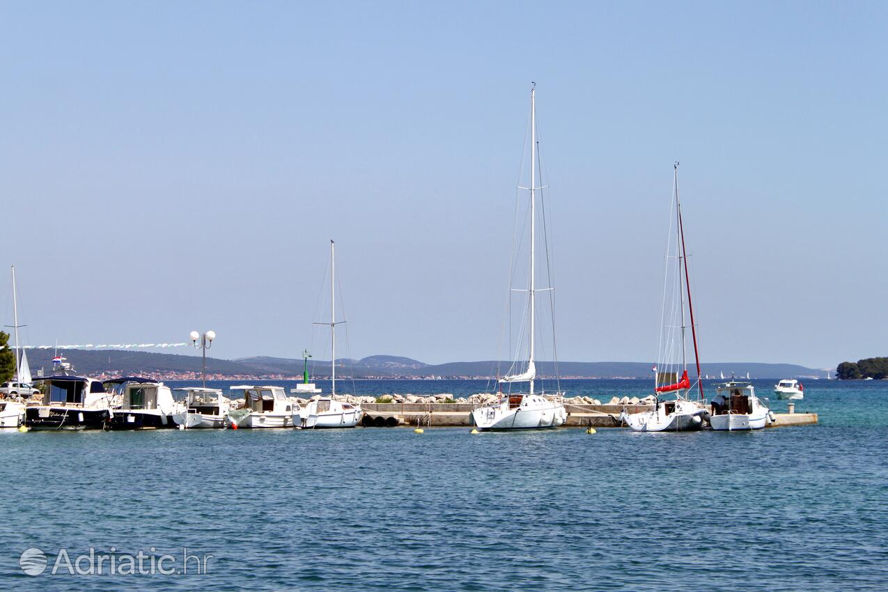 Poljana en el lugar Ugljan (Sjeverna Dalmacija)