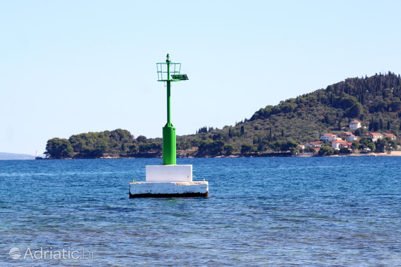 Poljana en el lugar Ugljan (Sjeverna Dalmacija)