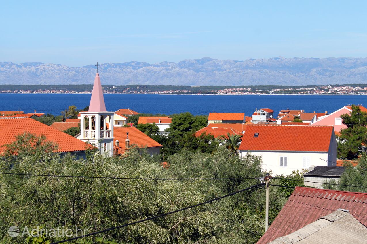 Poljana en el lugar Ugljan (Sjeverna Dalmacija)