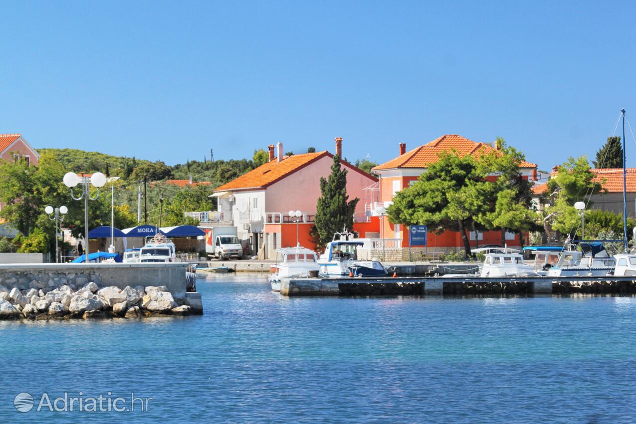 Poljana en el lugar Ugljan (Sjeverna Dalmacija)