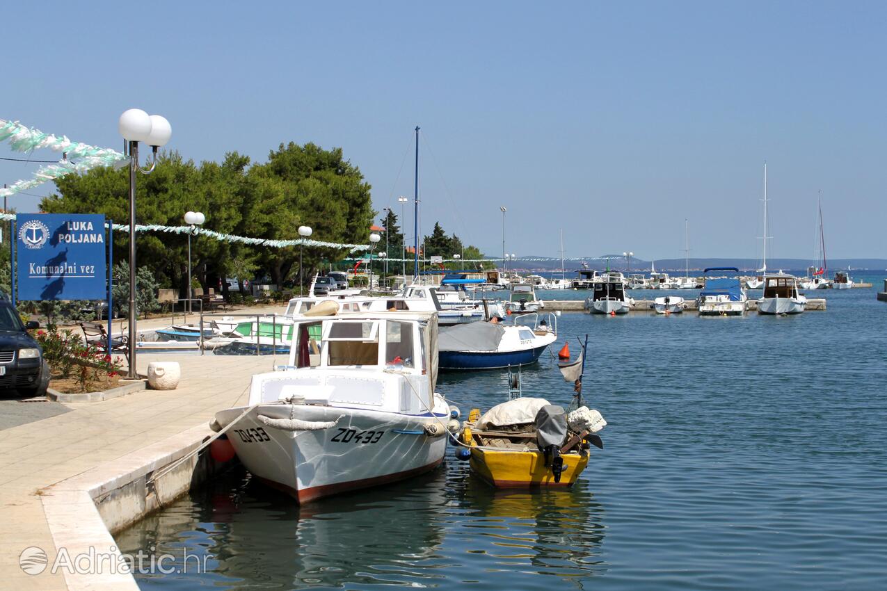 Poljana en el lugar Ugljan (Sjeverna Dalmacija)