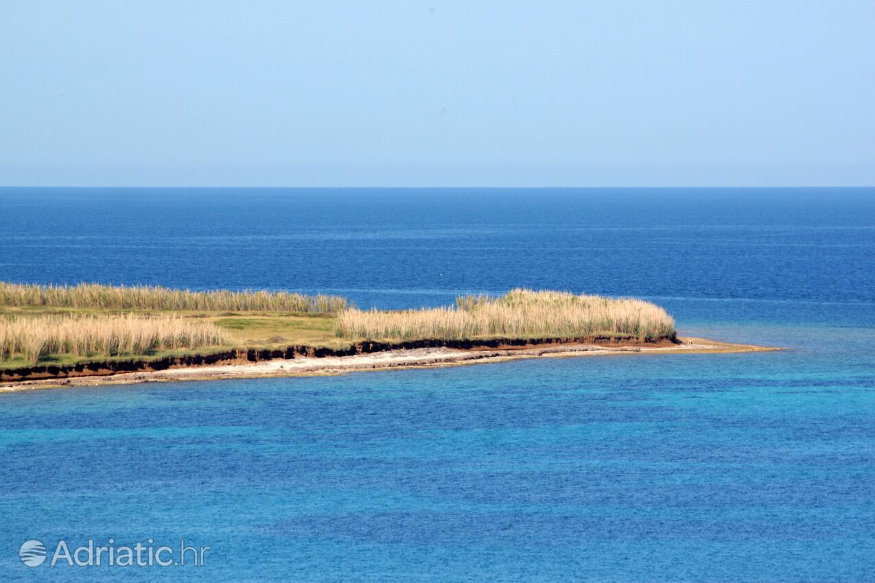 Unije Lošinj szigeten (Kvarner)