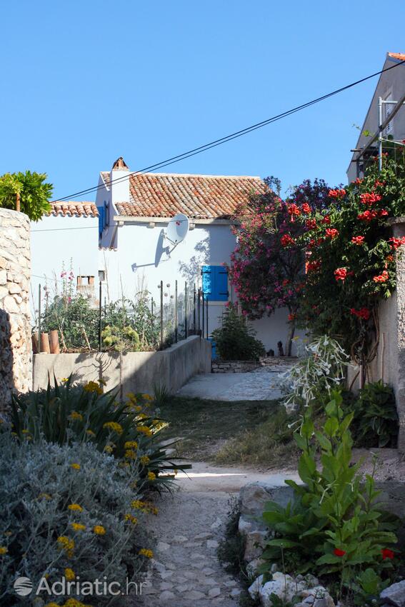 Unije Lošinj szigeten (Kvarner)