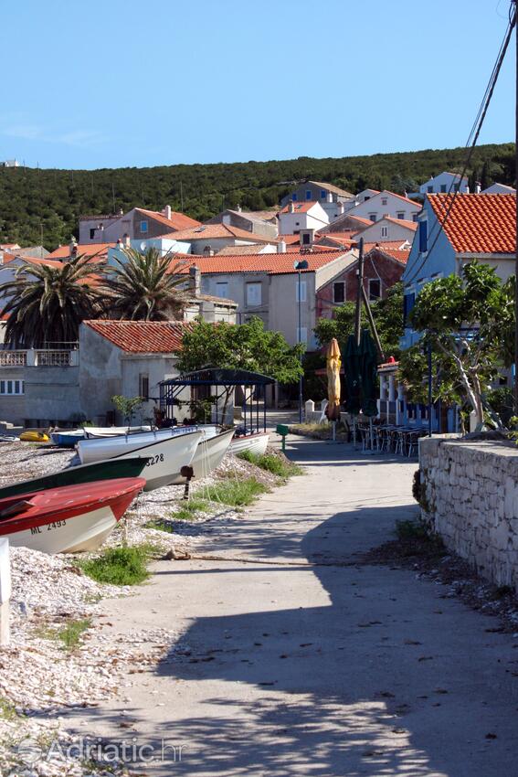 Unije Lošinj szigeten (Kvarner)