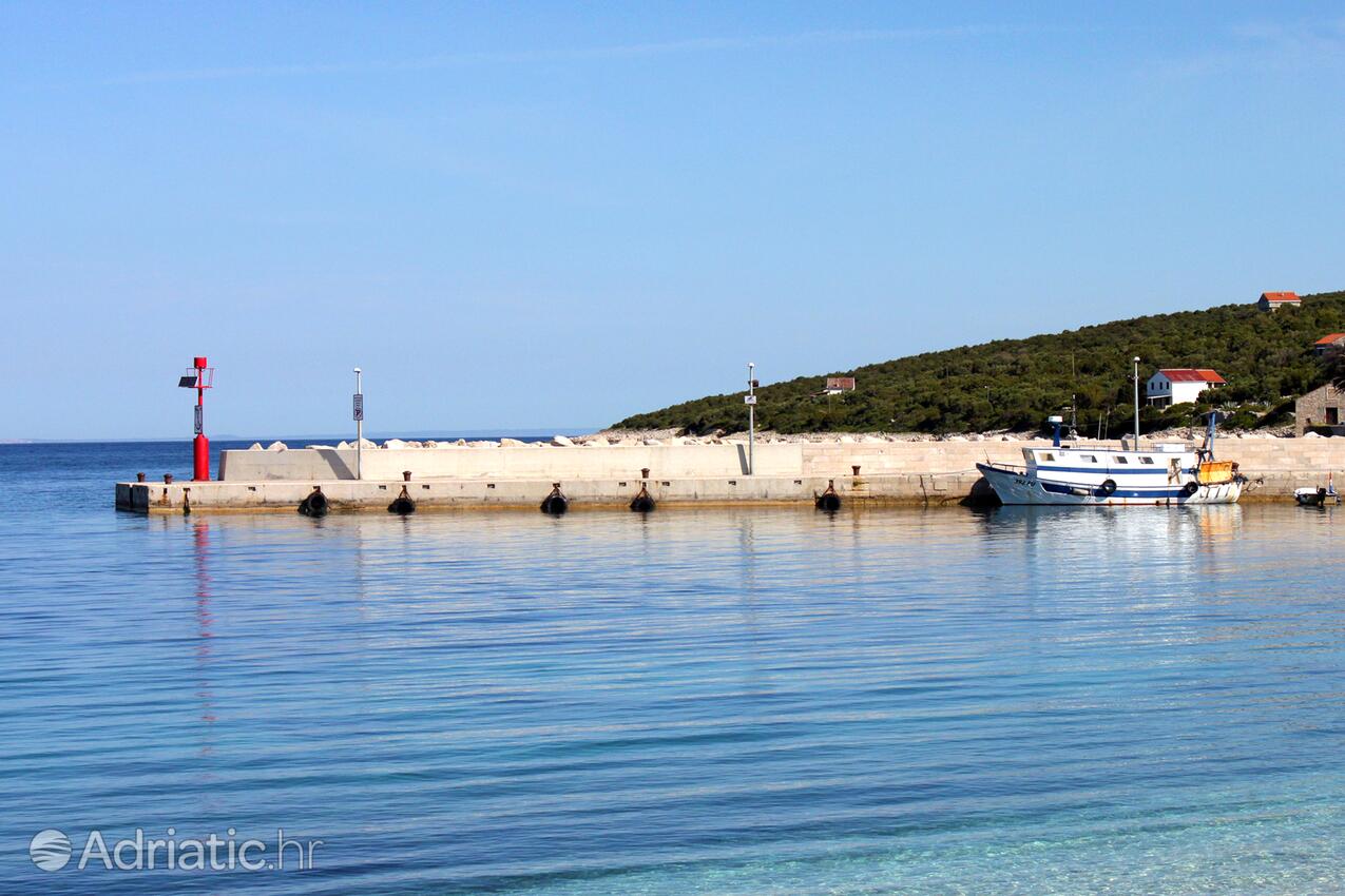 Unije Lošinj szigeten (Kvarner)