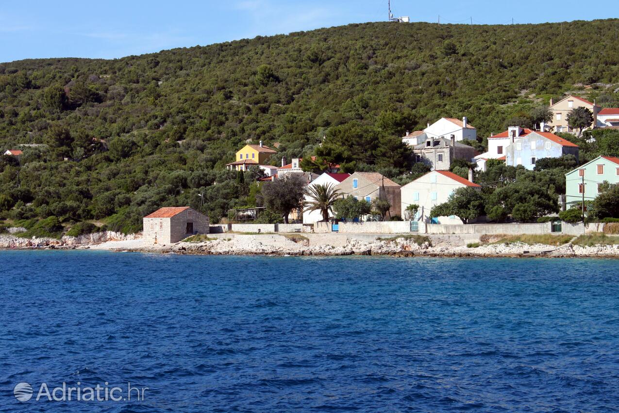 Unije Lošinj szigeten (Kvarner)