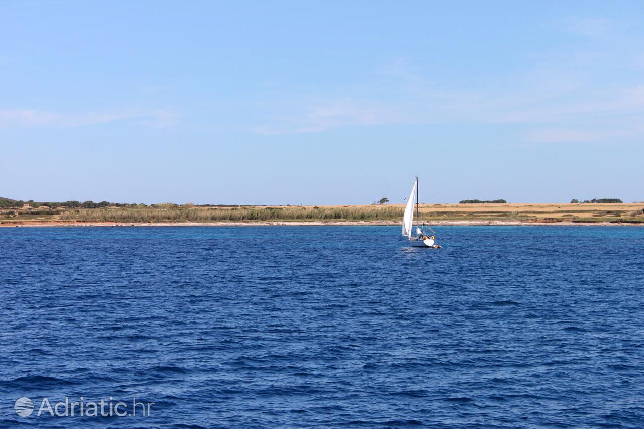 Unije Lošinj szigeten (Kvarner)