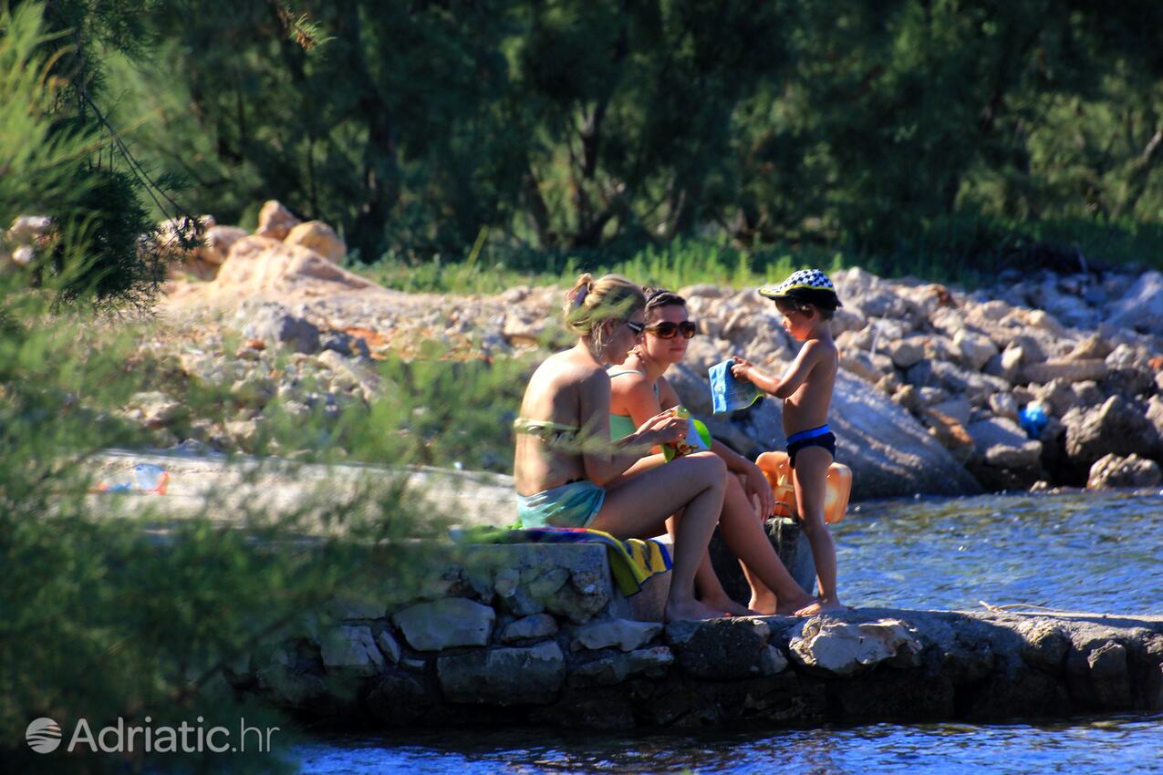 Banj on the island Pašman (Sjeverna Dalmacija)