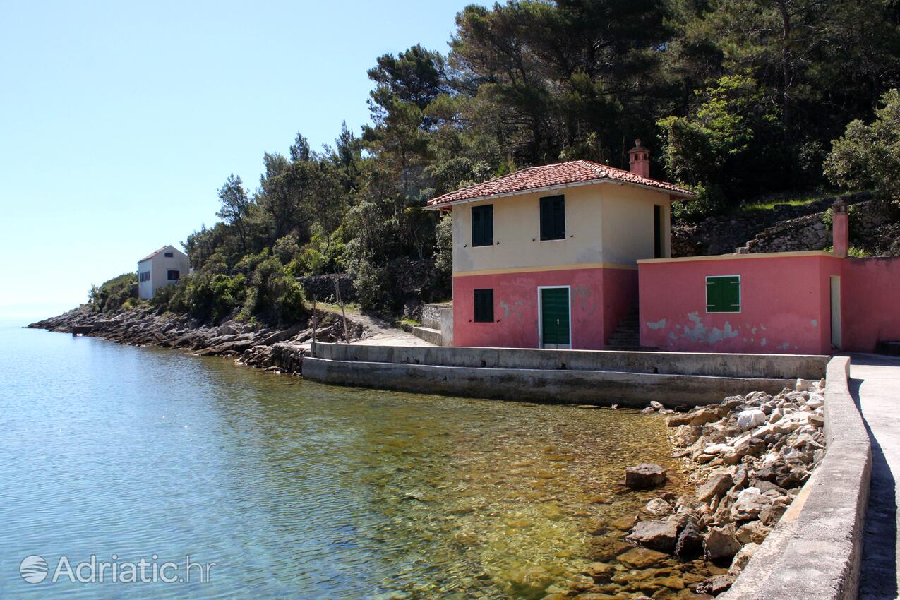 Lučica sull'isola Lošinj (Kvarner)