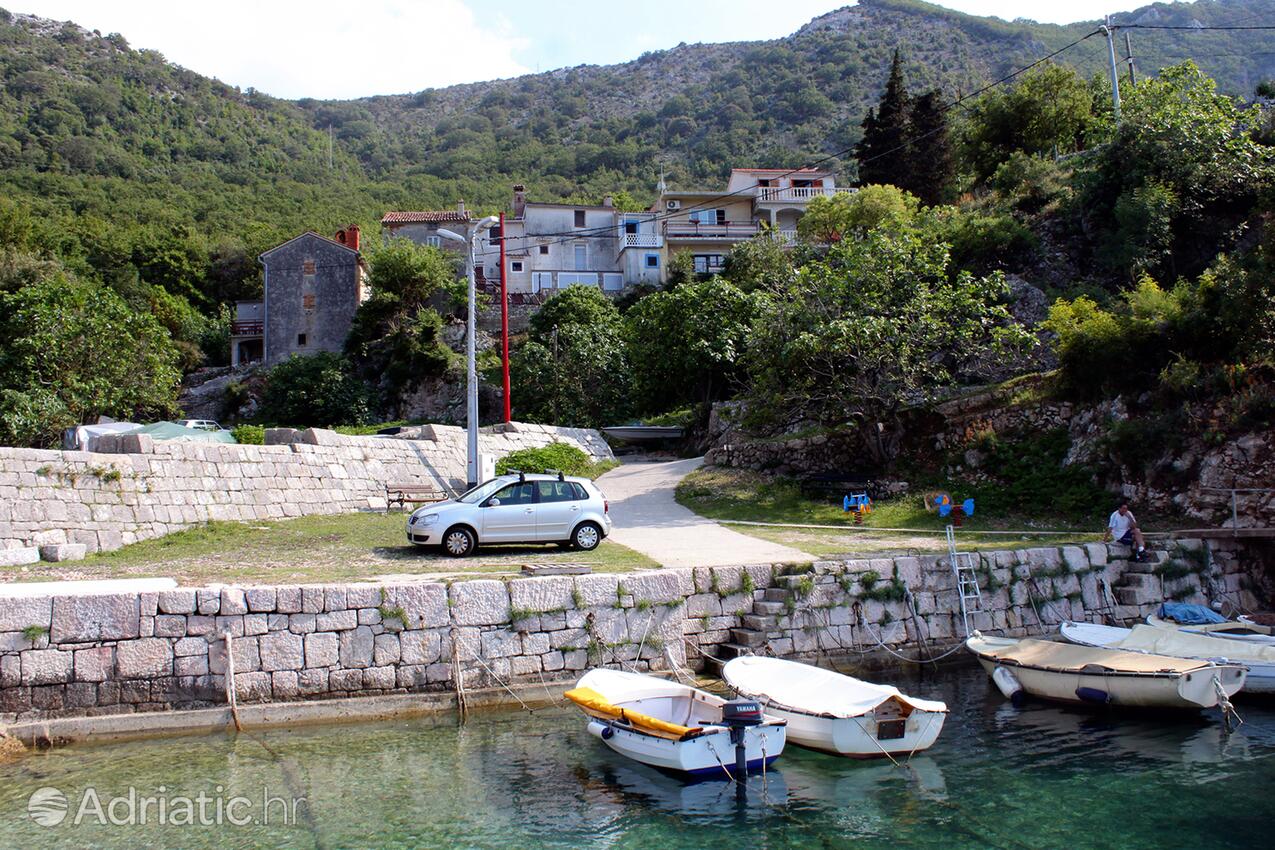 Merag op de route Cres (Kvarner)