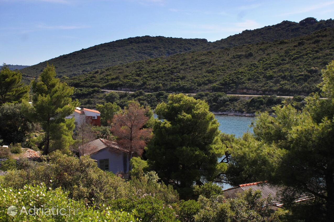 Parja na ostrove Vis (Srednja Dalmacija)