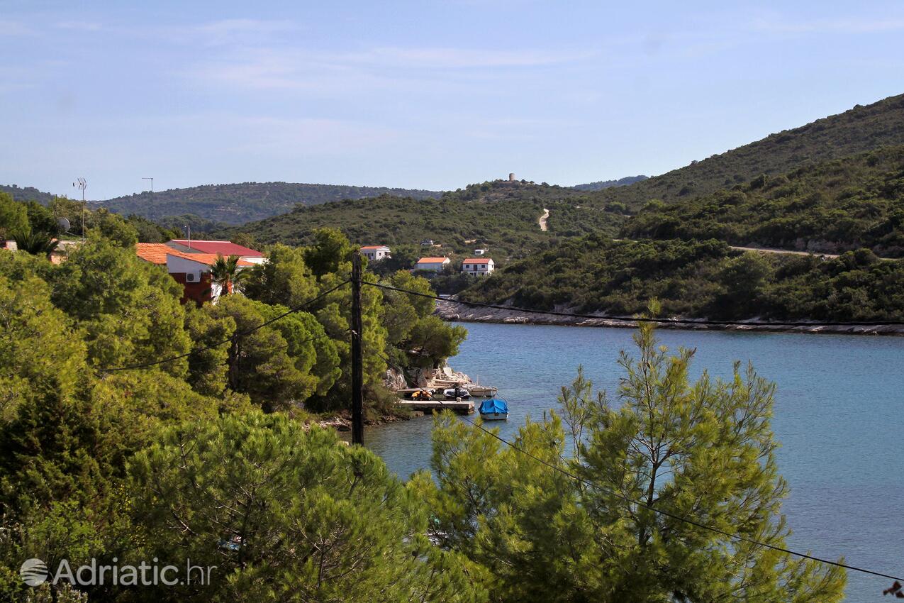 Parja na ostrove Vis (Srednja Dalmacija)