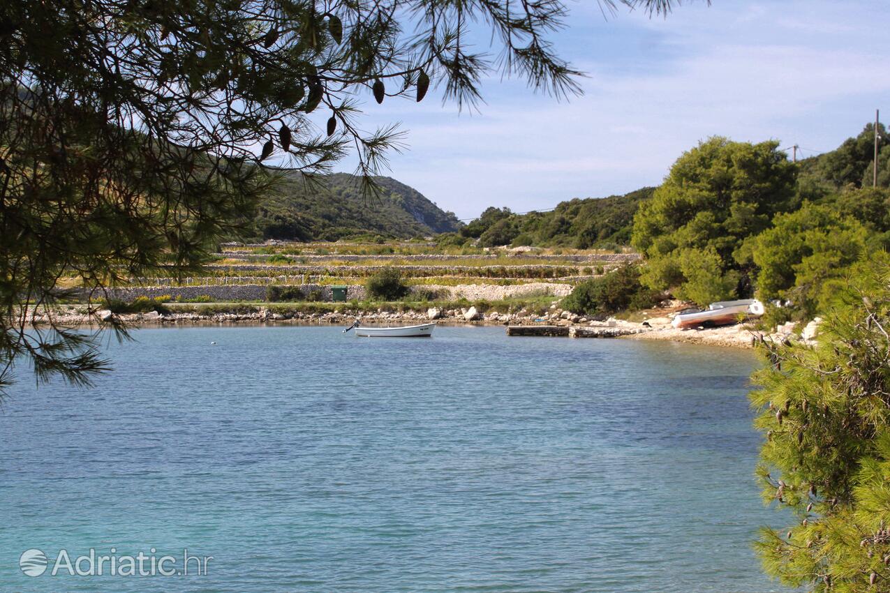 Parja på otoku Vis (Srednja Dalmacija)