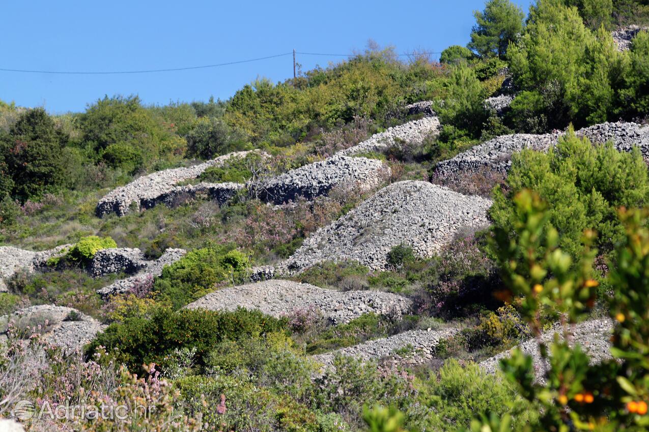 Duboka na ostrove Vis (Srednja Dalmacija)