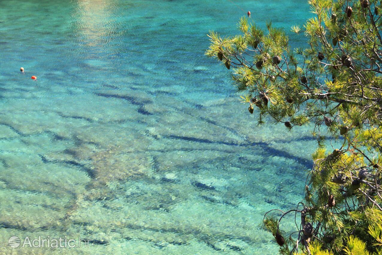 Velika Travna auf der Insel  Vis (Srednja Dalmacija)