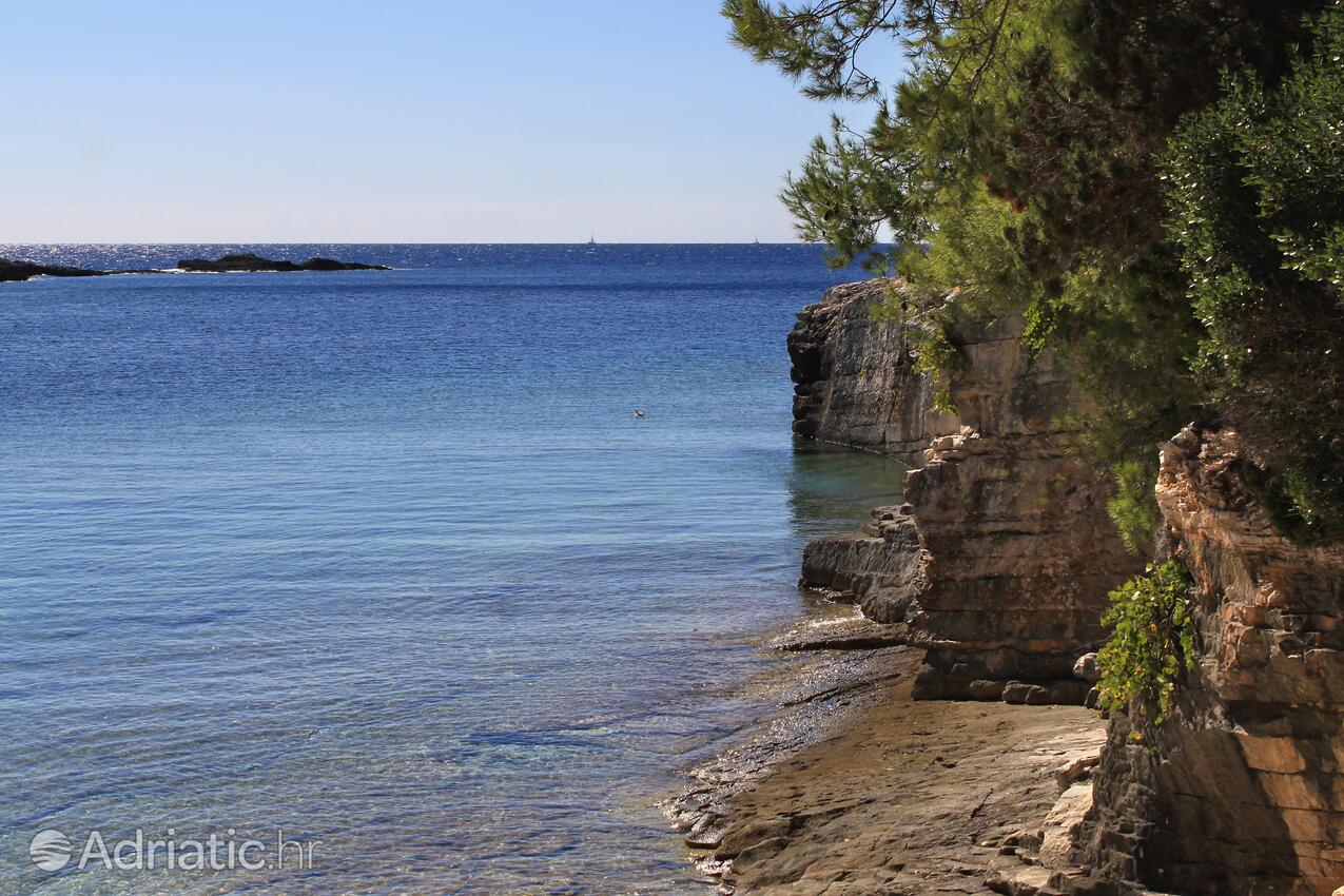 Velika Travna auf der Insel  Vis (Srednja Dalmacija)