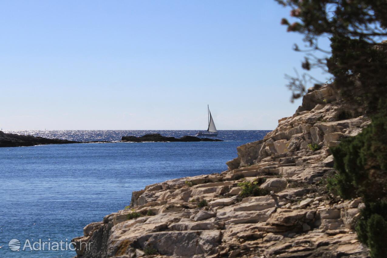 Velika Travna pe insula Vis (Srednja Dalmacija)