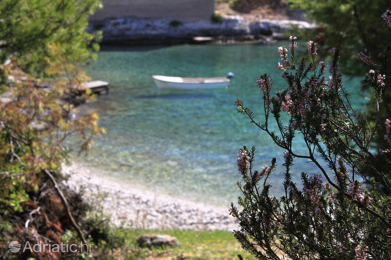 Velika Travna auf der Insel  Vis (Srednja Dalmacija)