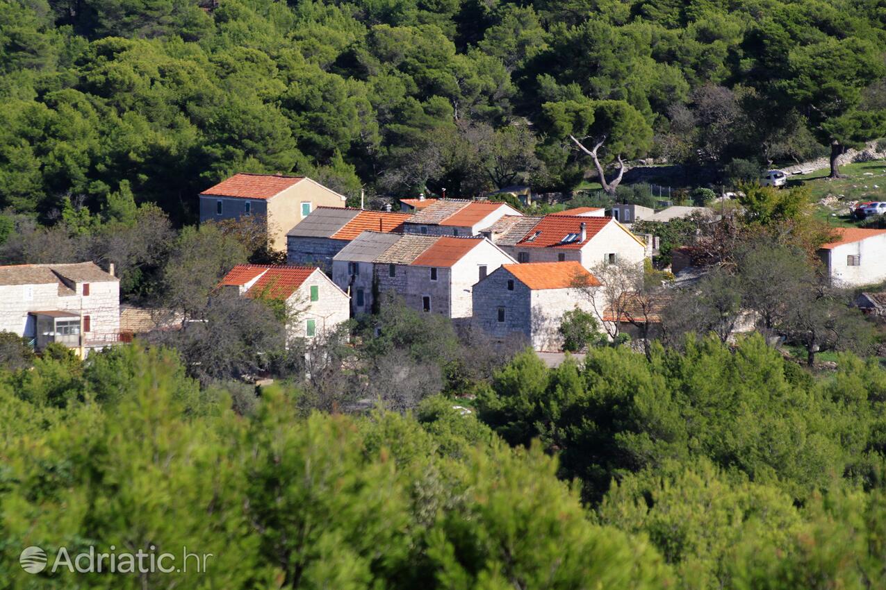 Marine Zemlje pe insula Vis (Srednja Dalmacija)