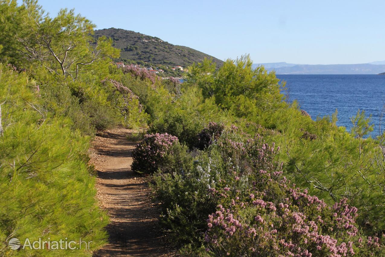 Zaglav op de route Vis (Srednja Dalmacija)