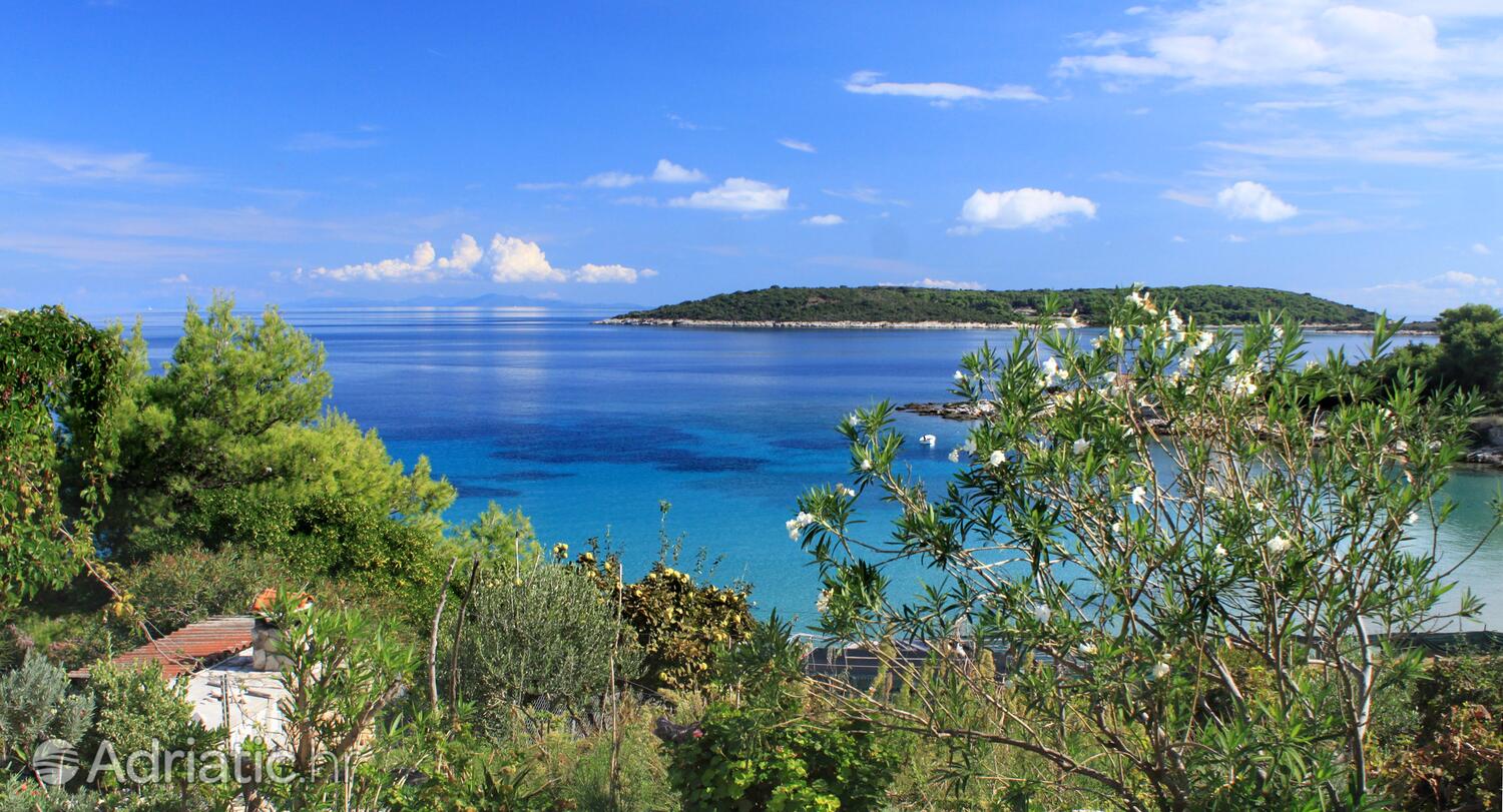 Zaglav en la isla Vis (Srednja Dalmacija)