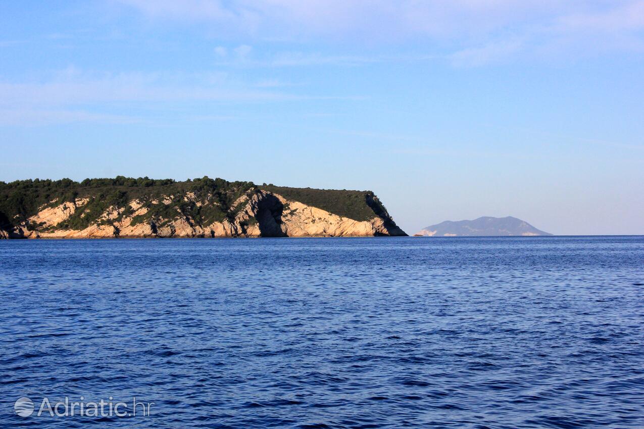 Salbunara - Biševo na wyspie Vis (Srednja Dalmacija)