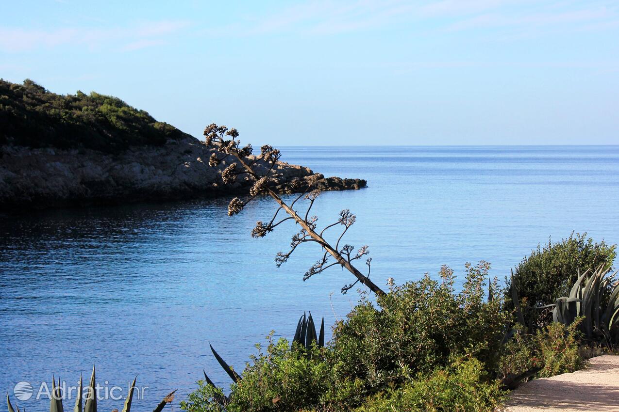 Salbunara - Biševo na wyspie Vis (Srednja Dalmacija)