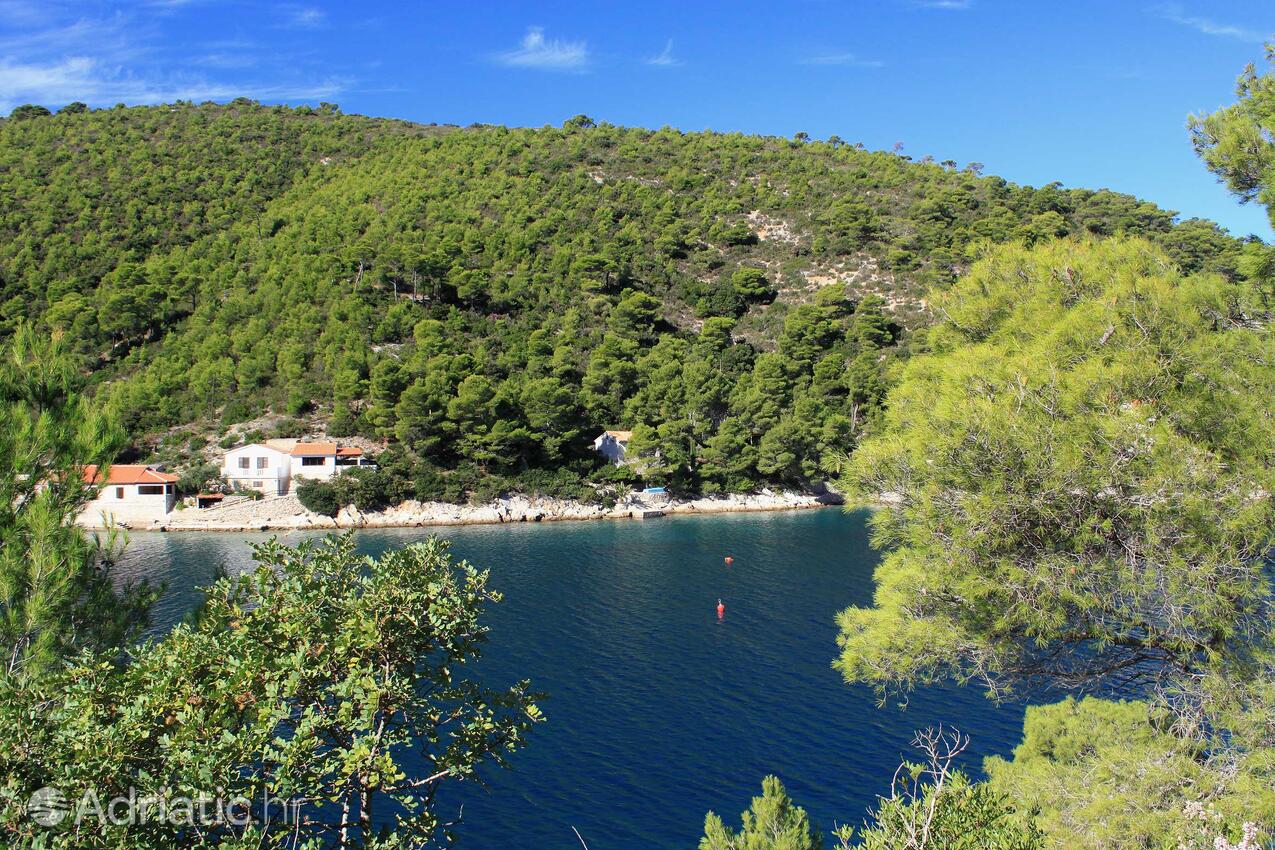 Stončica na wyspie Vis (Srednja Dalmacija)