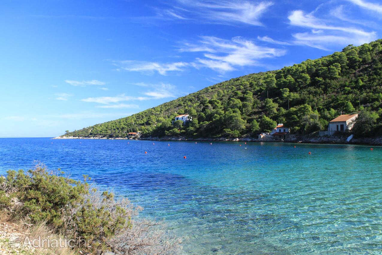 Stončica na wyspie Vis (Srednja Dalmacija)