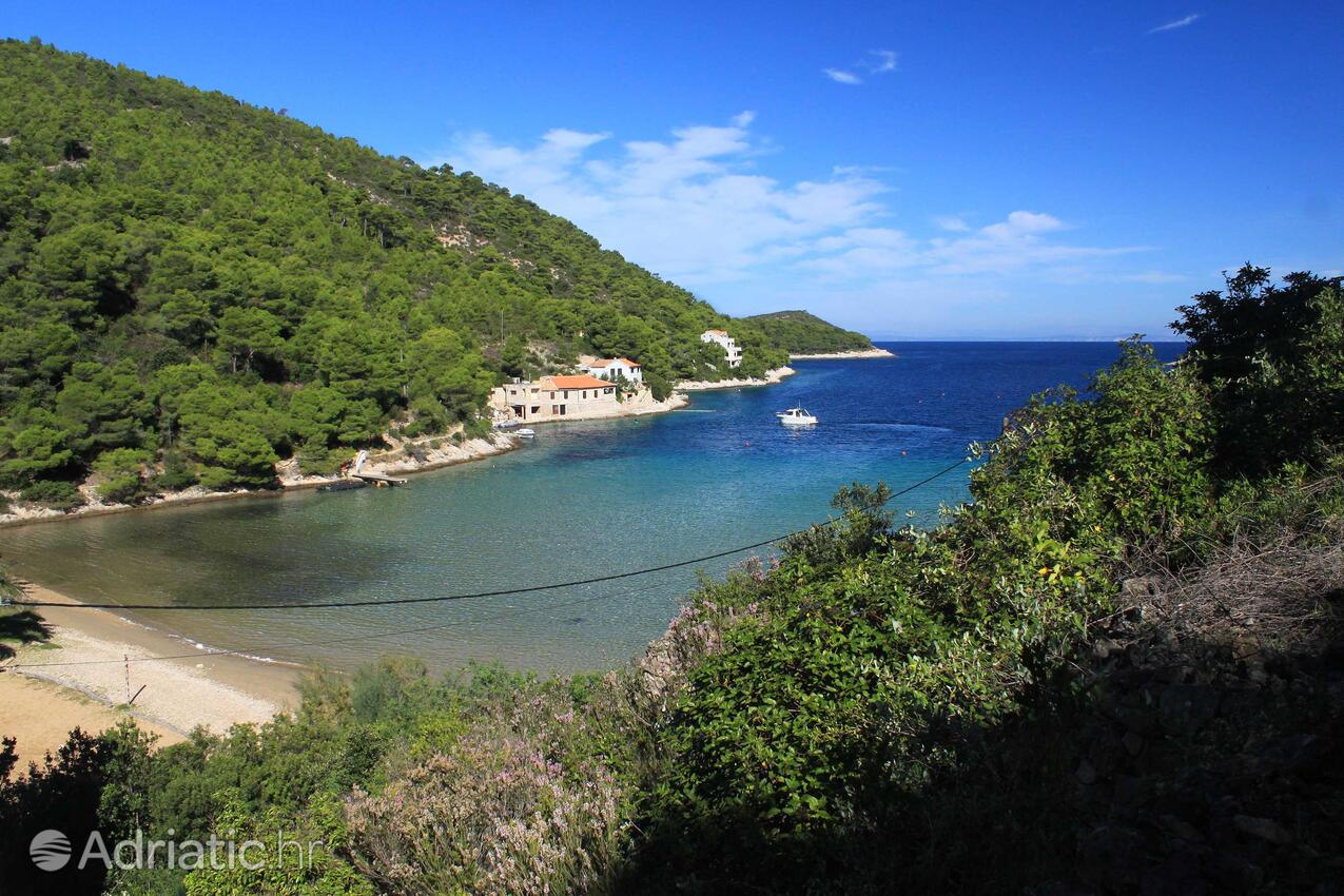 Stončica na wyspie Vis (Srednja Dalmacija)