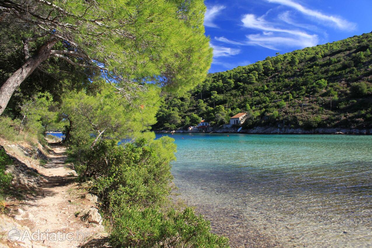 Stončica na wyspie Vis (Srednja Dalmacija)