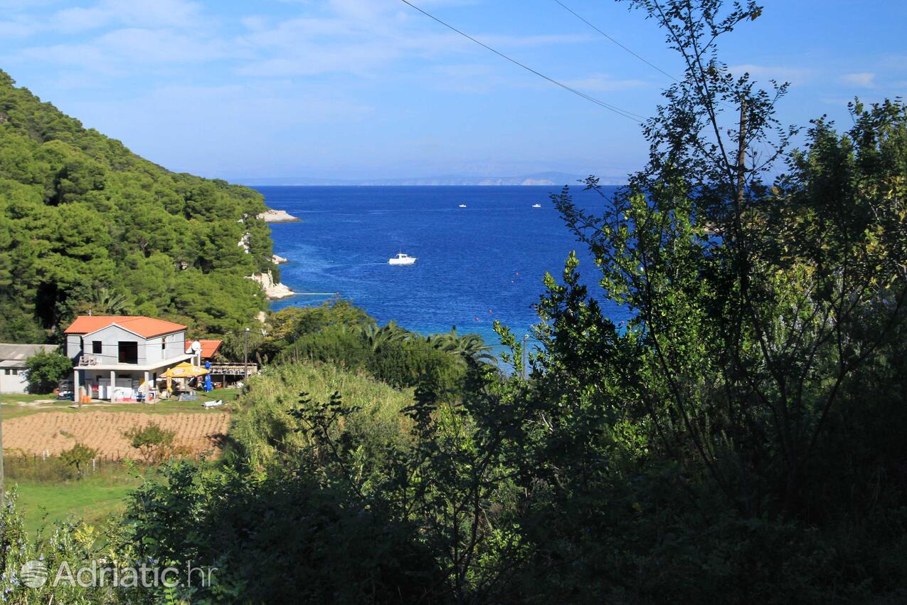 Stončica na wyspie Vis (Srednja Dalmacija)