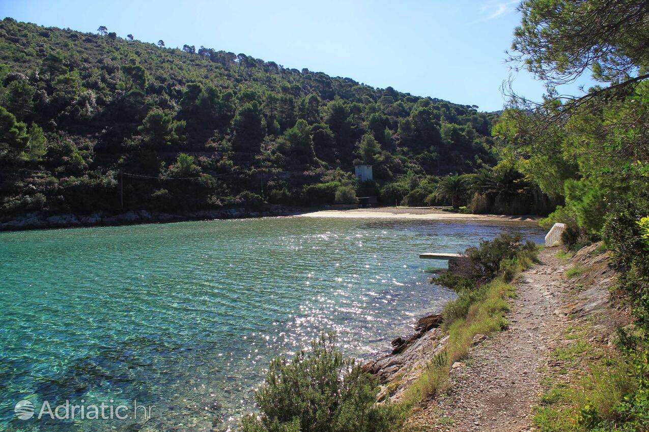 Stončica na wyspie Vis (Srednja Dalmacija)