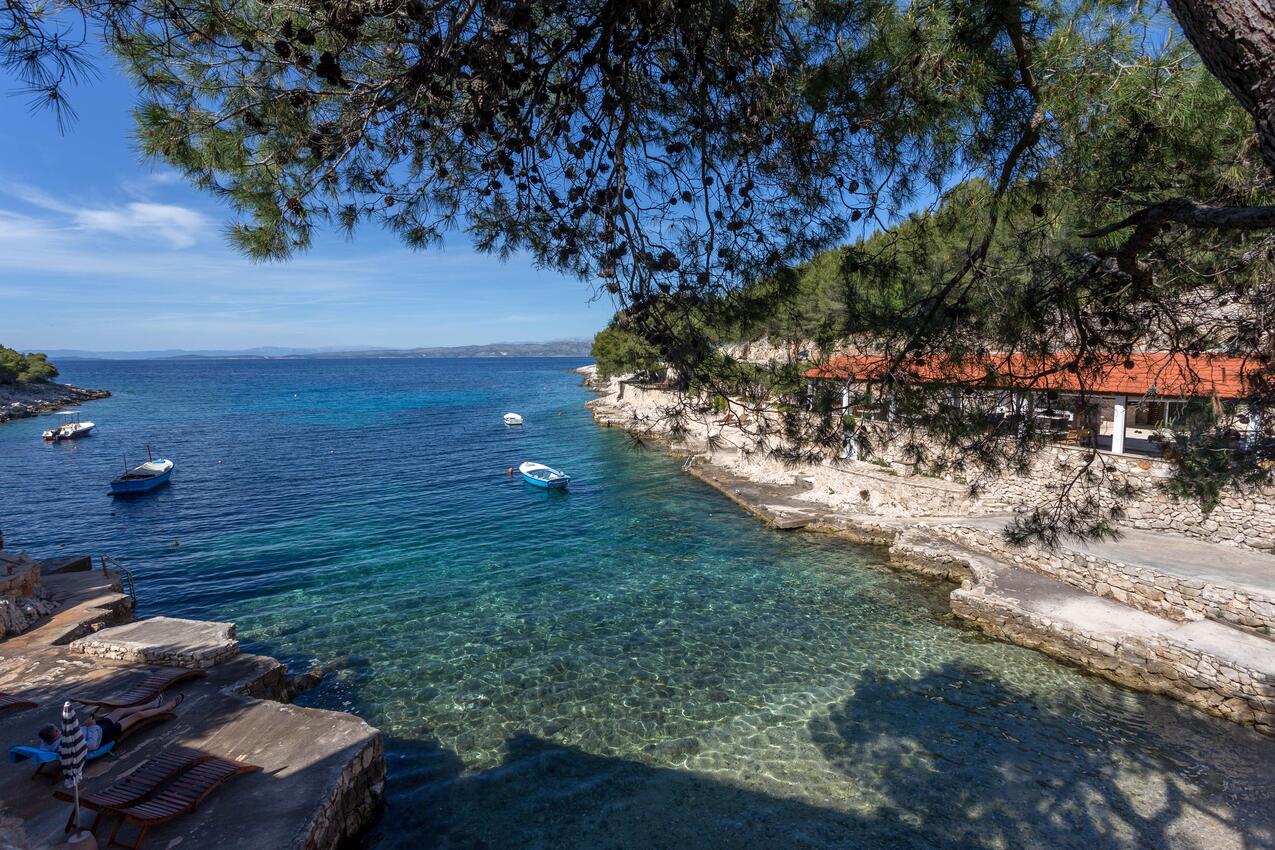 Zastupac auf der Insel  Hvar (Srednja Dalmacija)