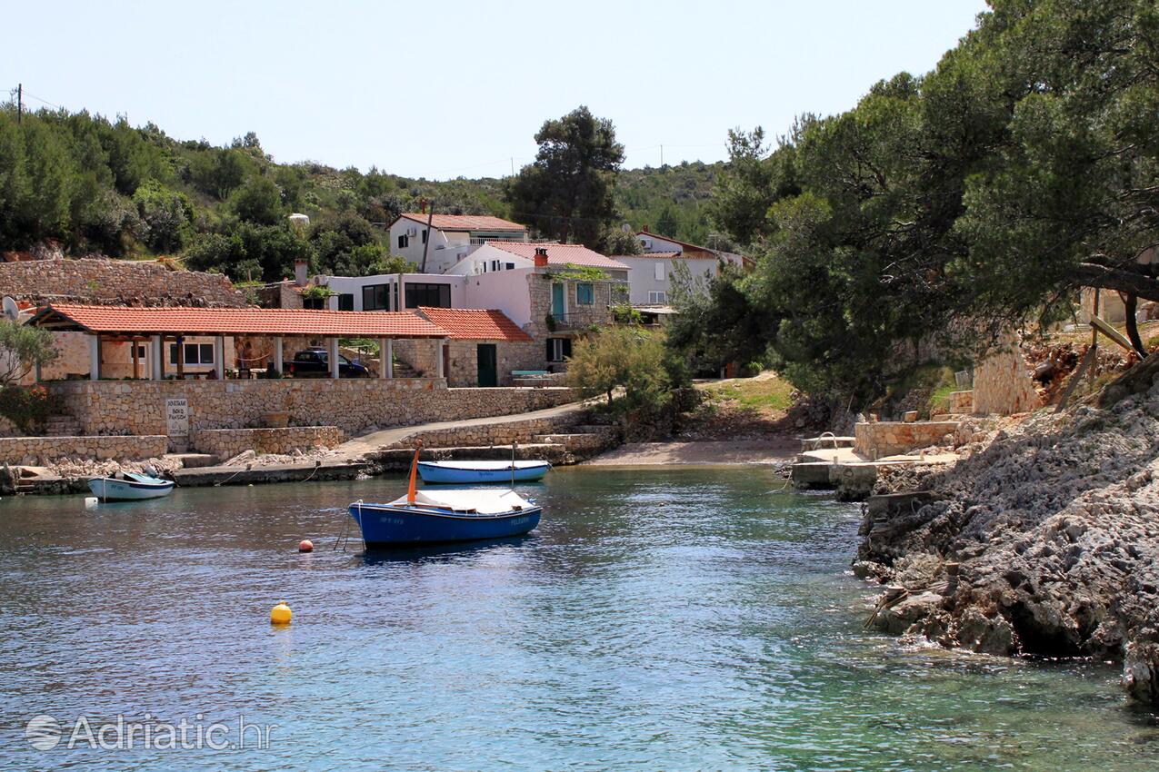 Zastupac auf der Insel  Hvar (Srednja Dalmacija)