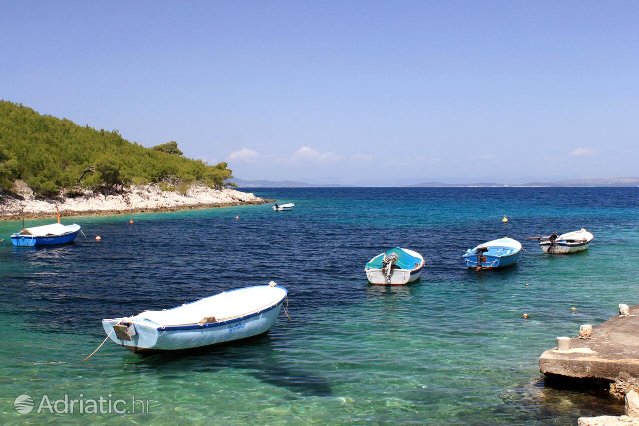 Zastupac auf der Insel  Hvar (Srednja Dalmacija)