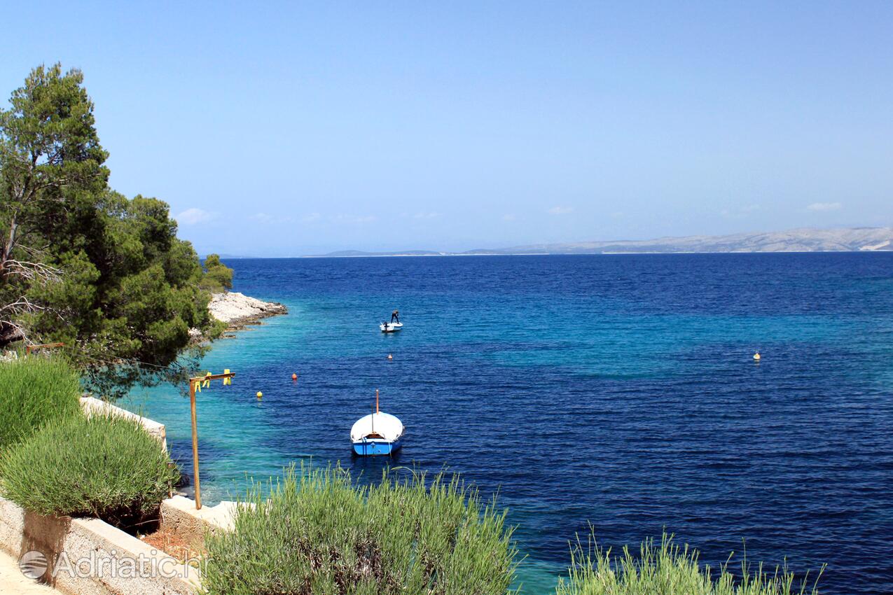 Zastupac auf der Insel  Hvar (Srednja Dalmacija)