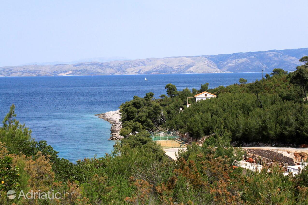 Zastupac auf der Insel  Hvar (Srednja Dalmacija)