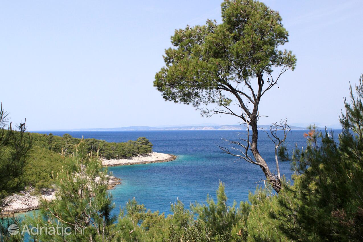 Zastupac auf der Insel  Hvar (Srednja Dalmacija)