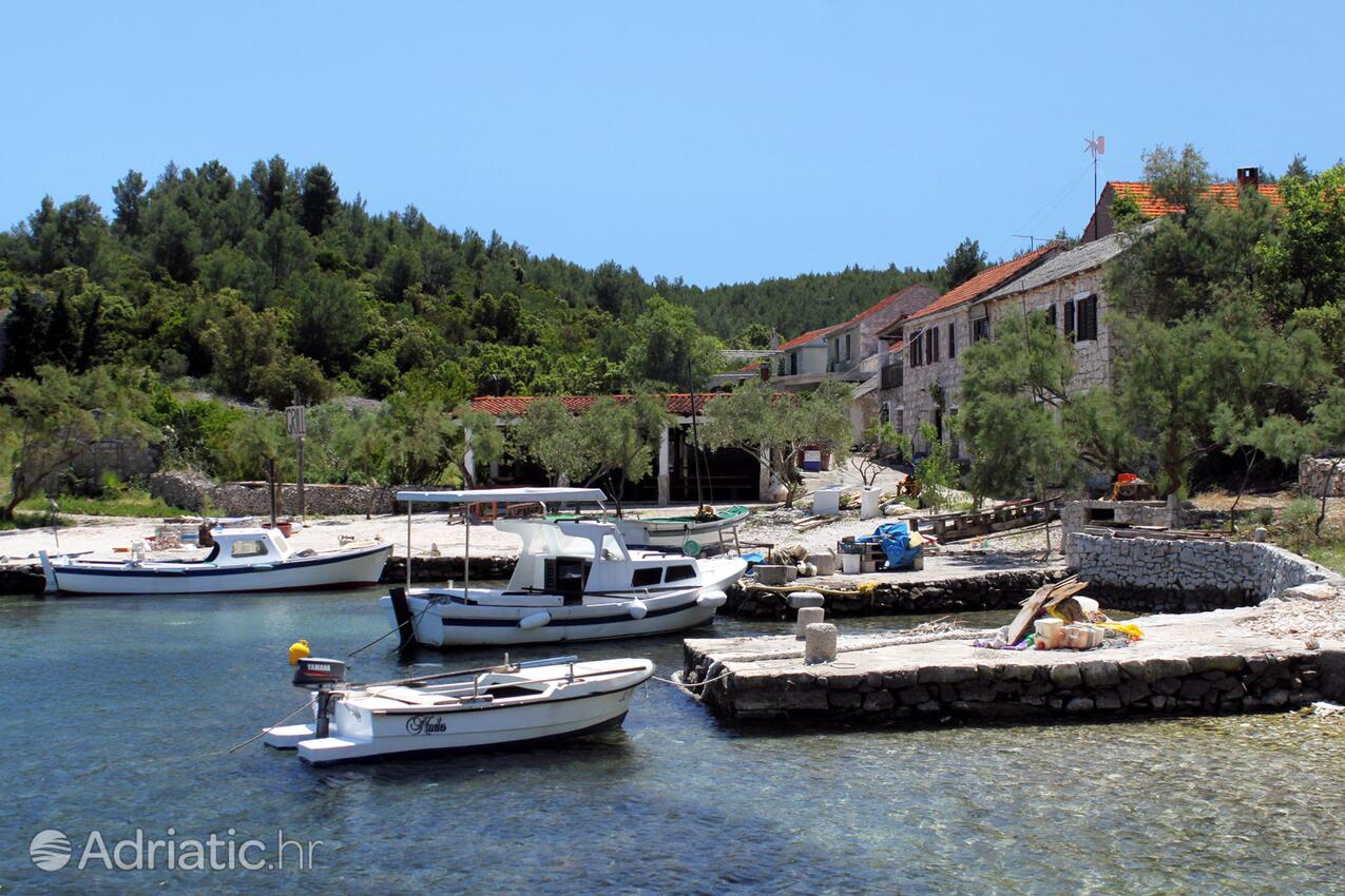 Mostir - Šćedro på otoku Hvar (Srednja Dalmacija)